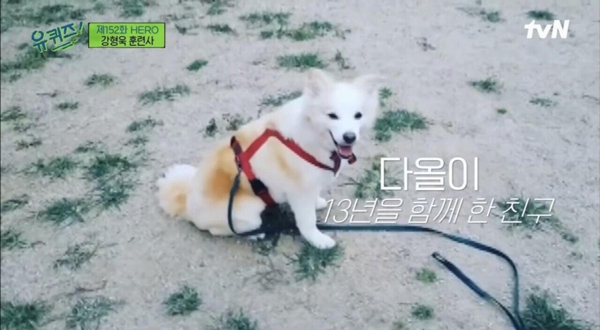 pic_012.jpg [유퀴즈] 강형욱도 해결해줄수 없다는 보호자들의 질문.JPG