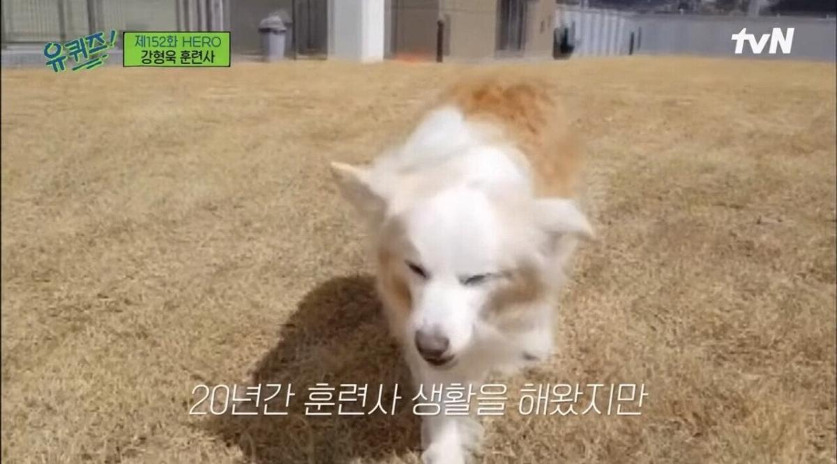 pic_021.jpg [유퀴즈] 강형욱도 해결해줄수 없다는 보호자들의 질문.JPG