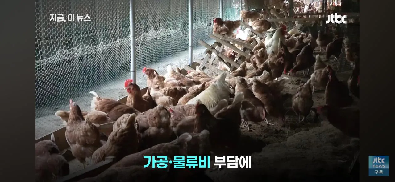 1000037531.jpg 닭값 떨어지니 눈치보는 치킨업계..