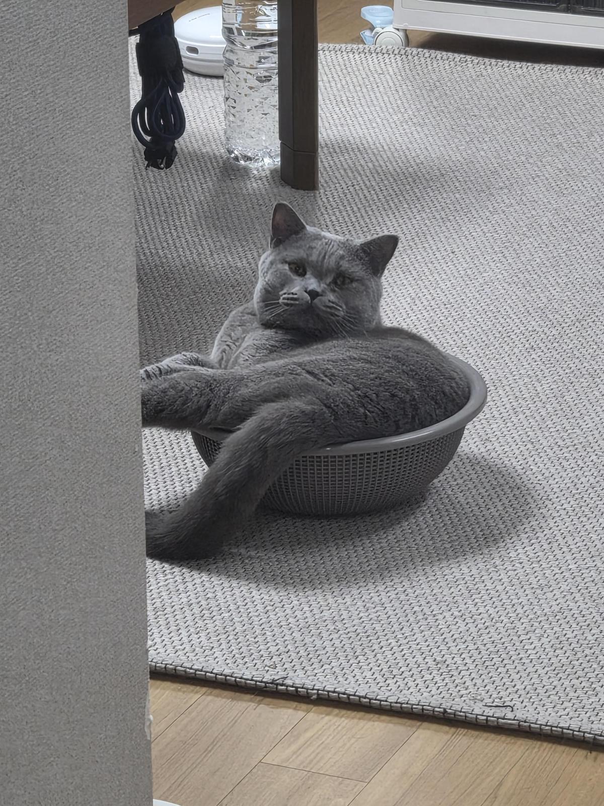 KakaoTalk_20260918_123325437.jpg