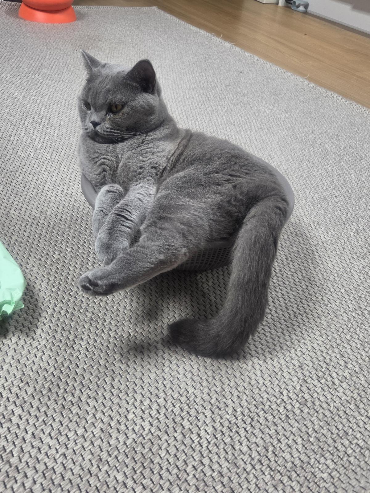 KakaoTalk_20260918_123325437_02.jpg