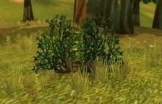 1168081-rustling-bush.jpg