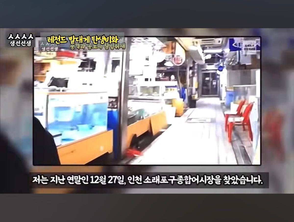 Screenshot_20260919_095101_YouTube.jpg
