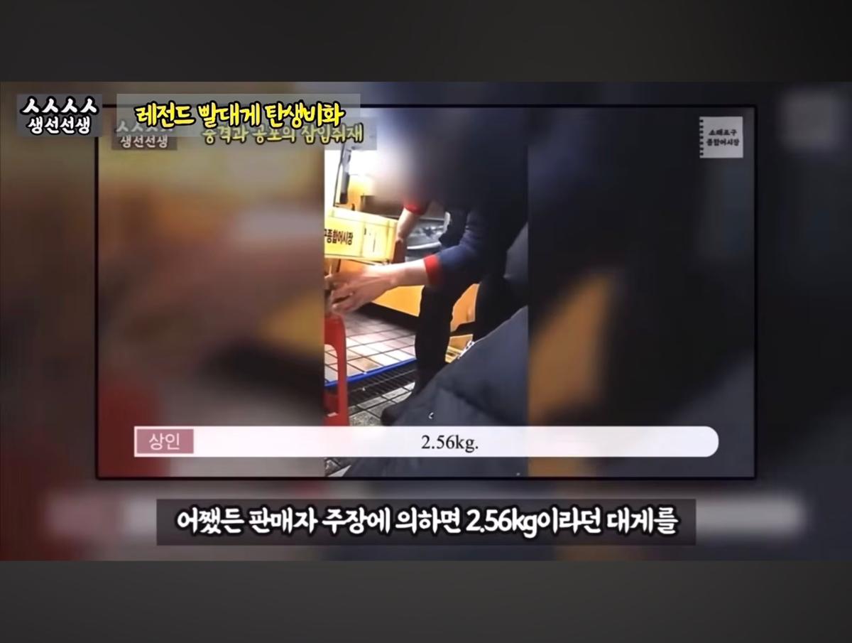 Screenshot_20260919_095108_YouTube.jpg