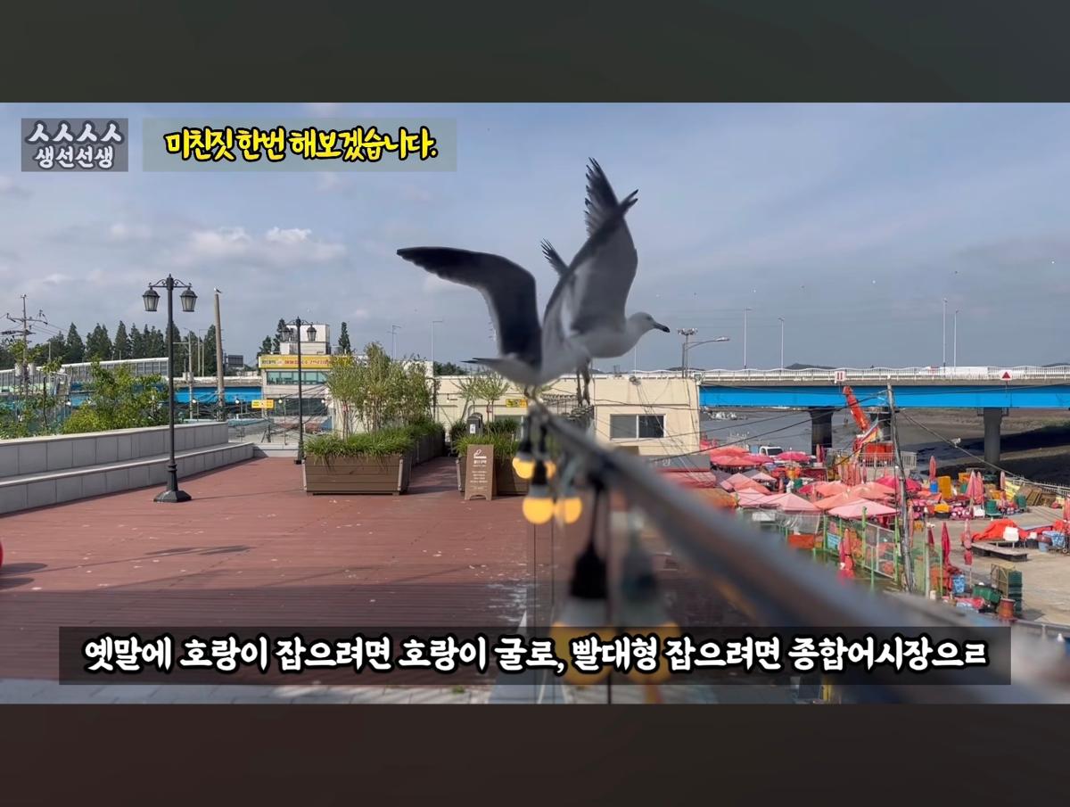 Screenshot_20260919_095547_YouTube.jpg
