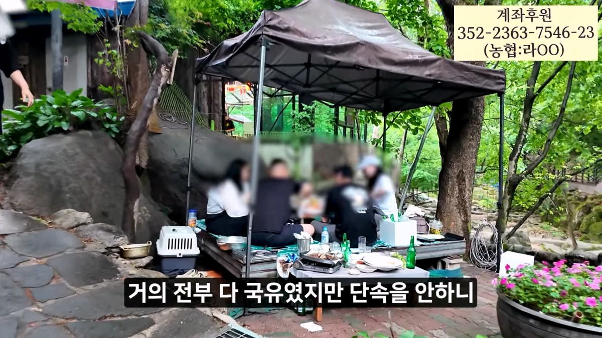 멈출줄 알았지_ 부셔져 버린 우이동계곡_20260919_121004.845.jpg