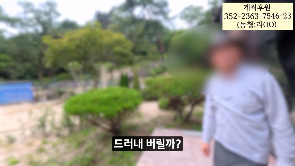 멈출줄 알았지_ 부셔져 버린 우이동계곡_20260919_121600.153.jpg