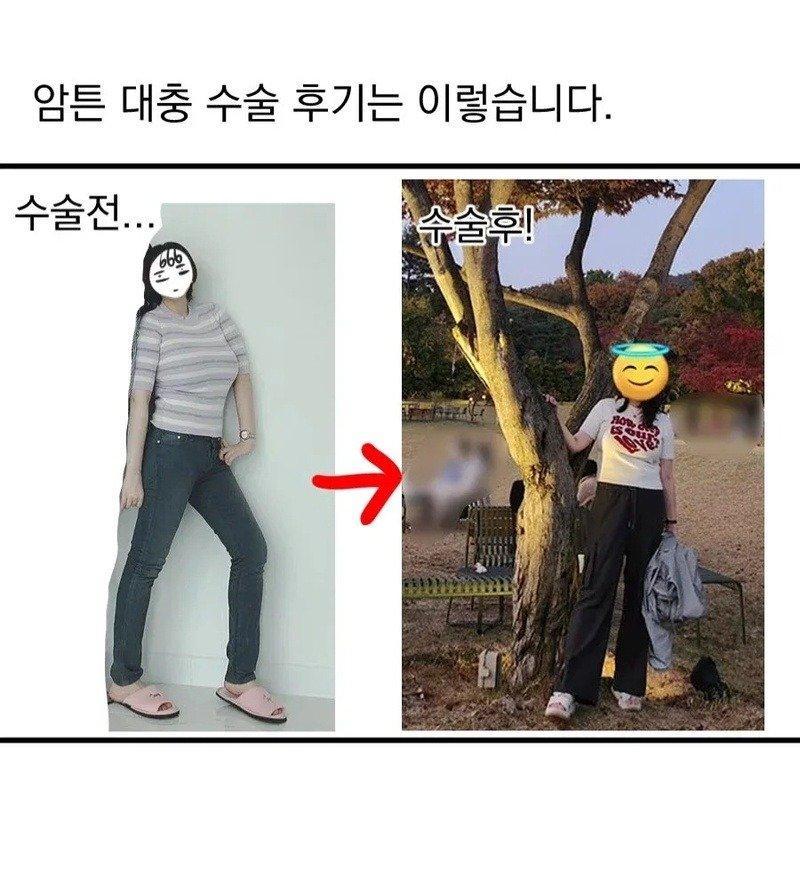 06.webp.jpg