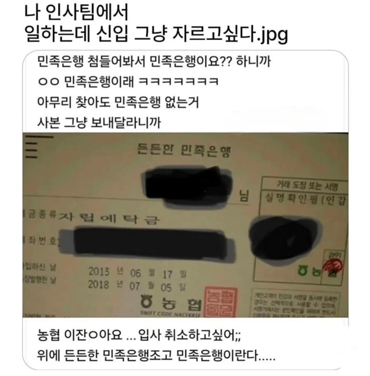 11.webp