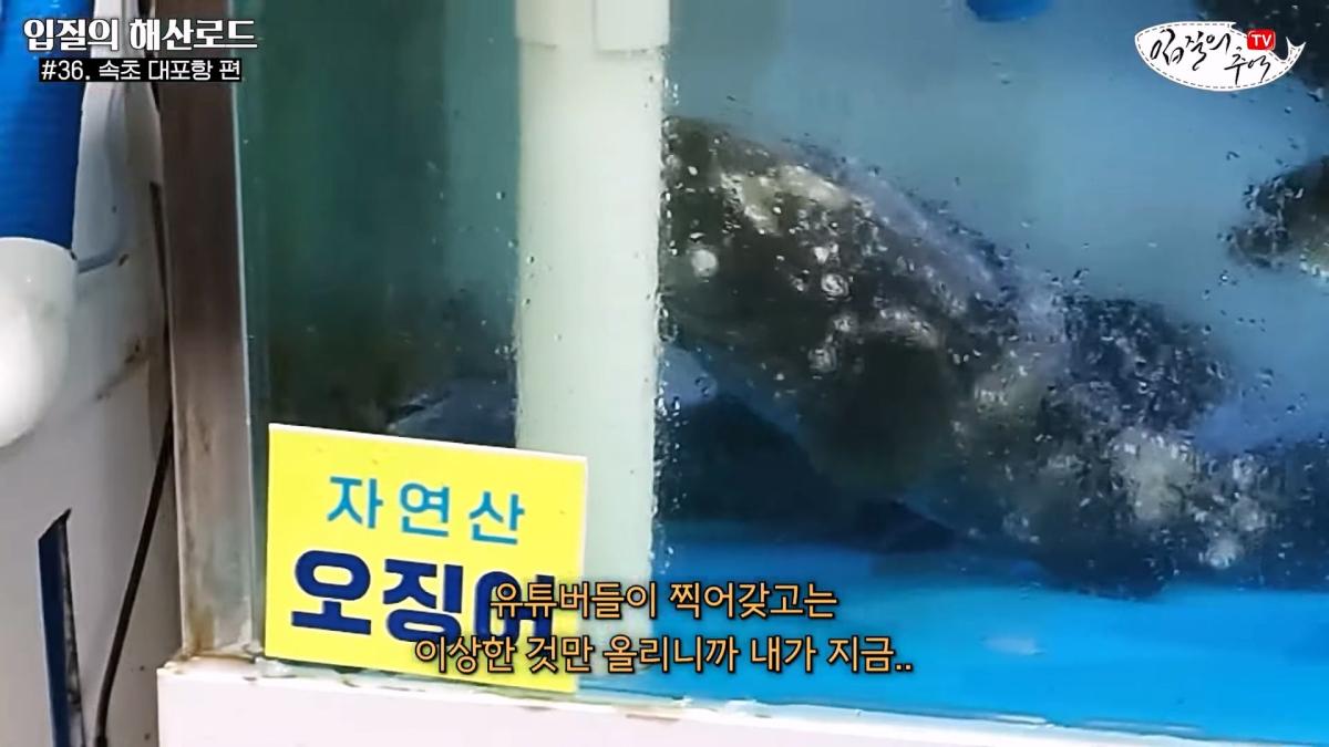 관광지 수산시장에서 _대게 먹고 가라_해서 믿고 맡겼더니(입질의 해산로드 #.36 속초 대포항 편)_20260922_210107.771.jpg
