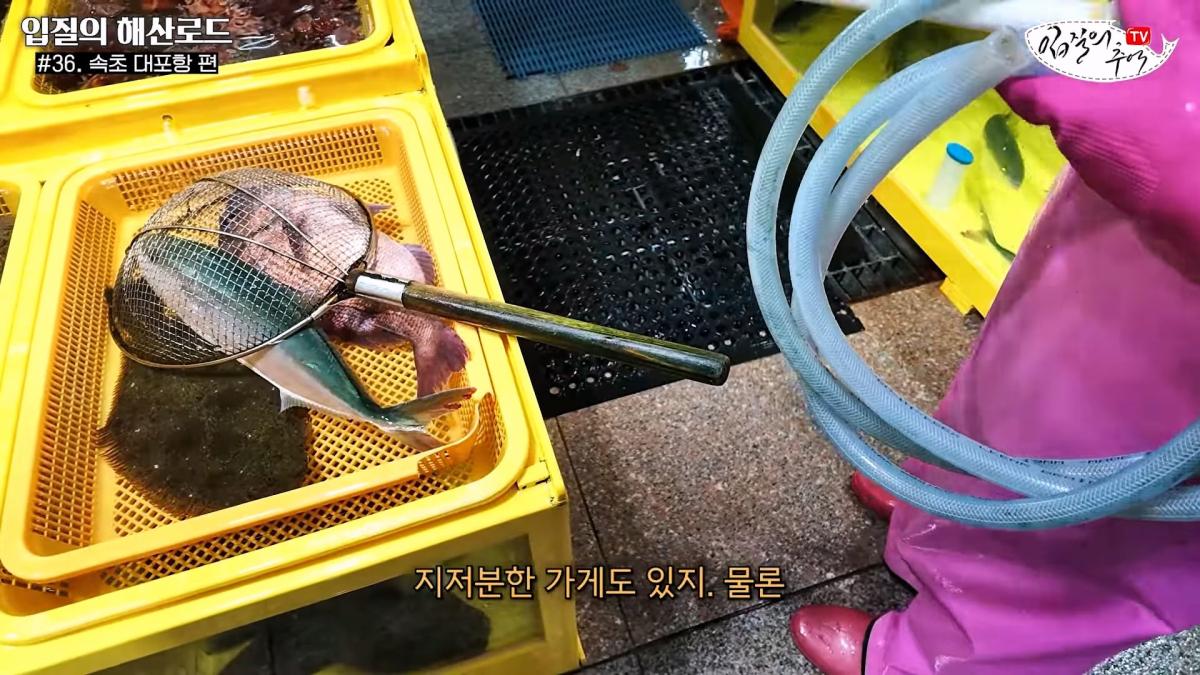 관광지 수산시장에서 _대게 먹고 가라_해서 믿고 맡겼더니(입질의 해산로드 #.36 속초 대포항 편)_20260922_210200.475.jpg