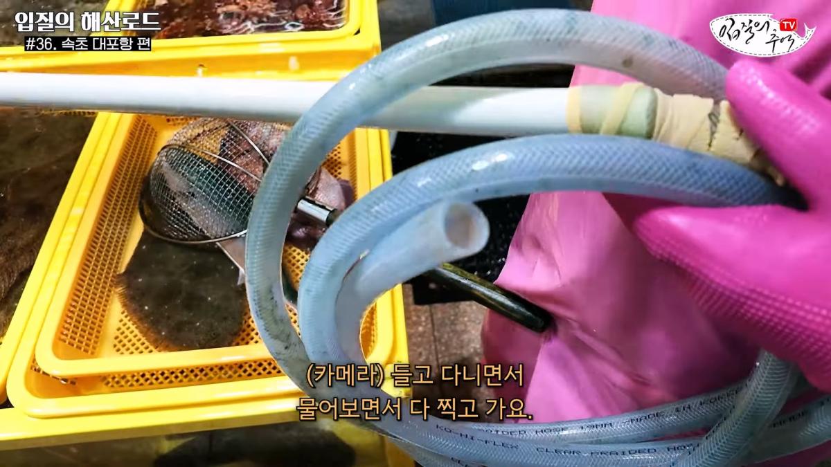 관광지 수산시장에서 _대게 먹고 가라_해서 믿고 맡겼더니(입질의 해산로드 #.36 속초 대포항 편)_20260922_210208.283.jpg