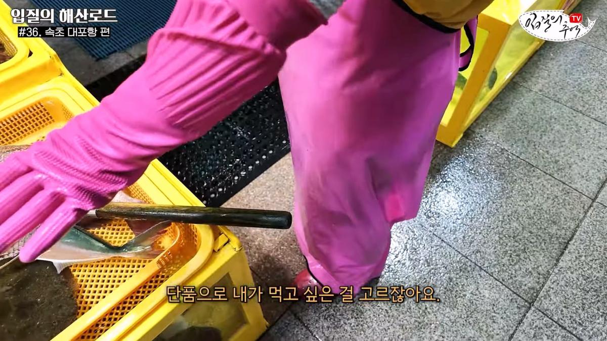 관광지 수산시장에서 _대게 먹고 가라_해서 믿고 맡겼더니(입질의 해산로드 #.36 속초 대포항 편)_20260922_210232.229.jpg