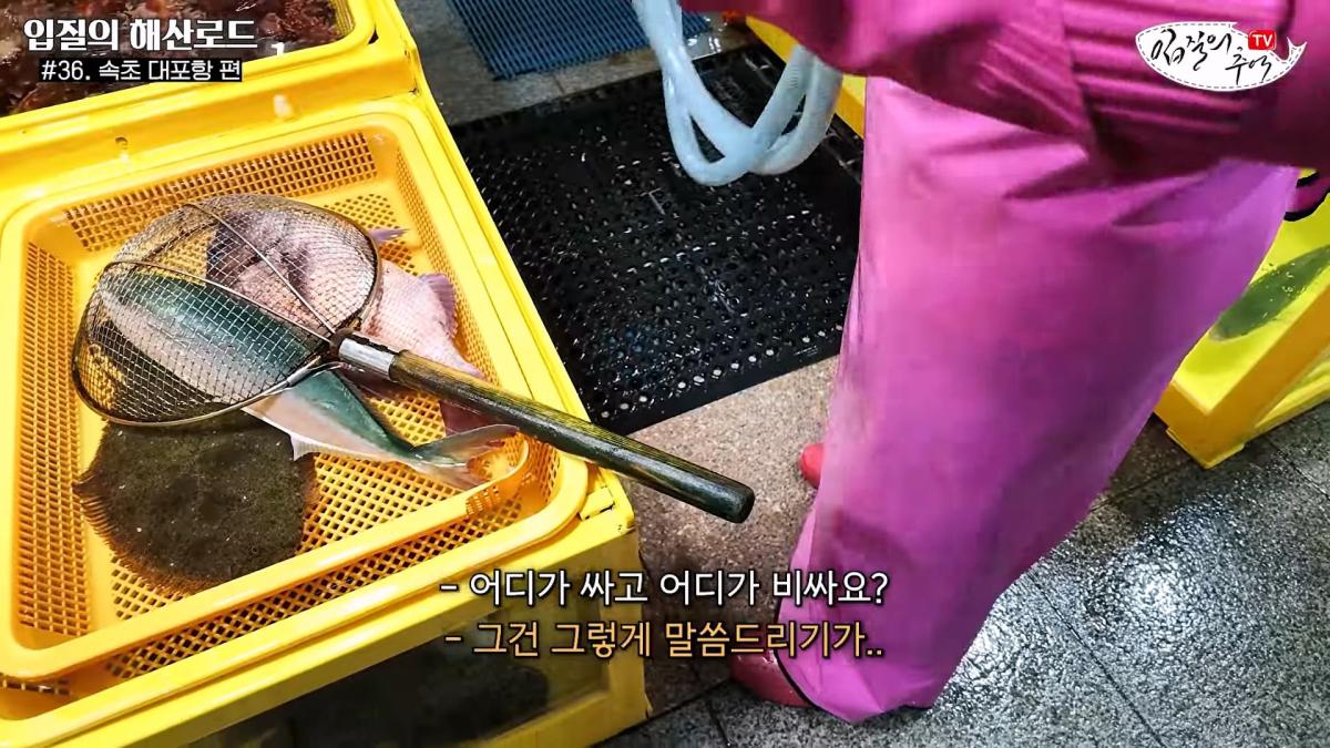 관광지 수산시장에서 _대게 먹고 가라_해서 믿고 맡겼더니(입질의 해산로드 #.36 속초 대포항 편)_20260922_210223.491.jpg