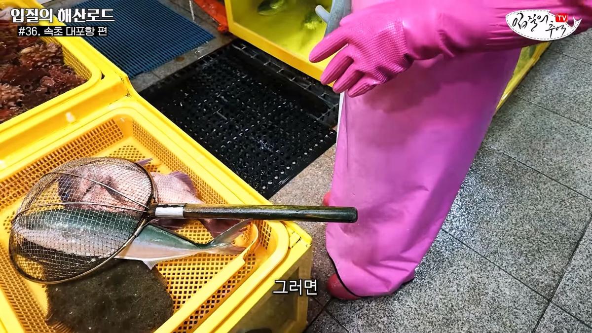 관광지 수산시장에서 _대게 먹고 가라_해서 믿고 맡겼더니(입질의 해산로드 #.36 속초 대포항 편)_20260922_210247.556.jpg