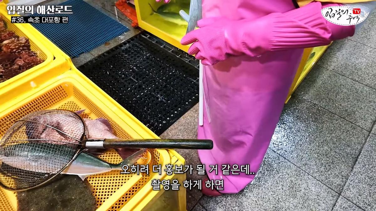 관광지 수산시장에서 _대게 먹고 가라_해서 믿고 맡겼더니(입질의 해산로드 #.36 속초 대포항 편)_20260922_210251.228.jpg