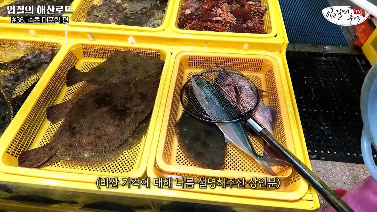 관광지 수산시장에서 _대게 먹고 가라_해서 믿고 맡겼더니(입질의 해산로드 #.36 속초 대포항 편)_20260922_210241.307.jpg
