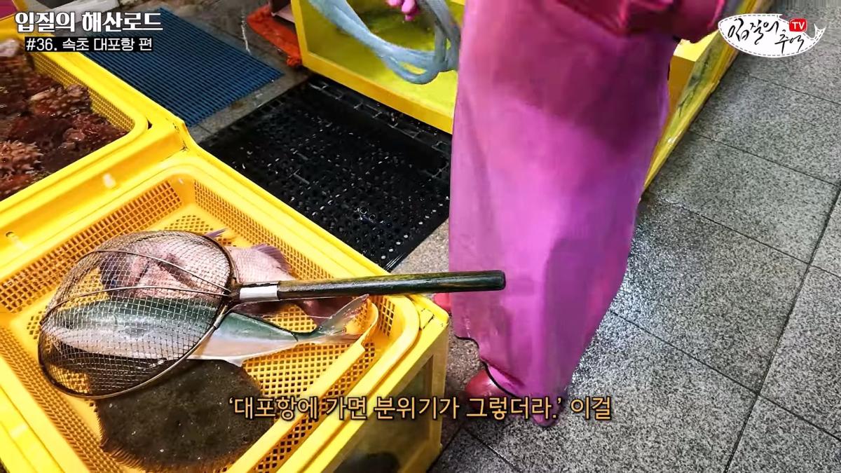 관광지 수산시장에서 _대게 먹고 가라_해서 믿고 맡겼더니(입질의 해산로드 #.36 속초 대포항 편)_20260922_210324.468.jpg