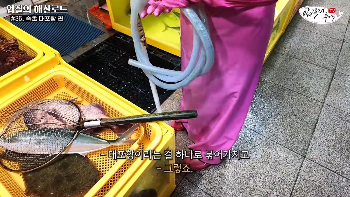 관광지 수산시장에서 _대게 먹고 가라_해서 믿고 맡겼더니(입질의 해산로드 #.36 속초 대포항 편)_20260922_210322.619.jpg