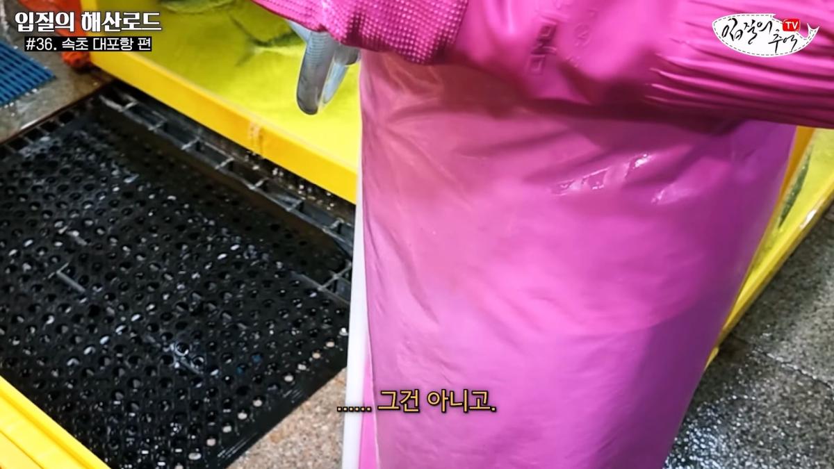 관광지 수산시장에서 _대게 먹고 가라_해서 믿고 맡겼더니(입질의 해산로드 #.36 속초 대포항 편)_20260922_210309.366.jpg