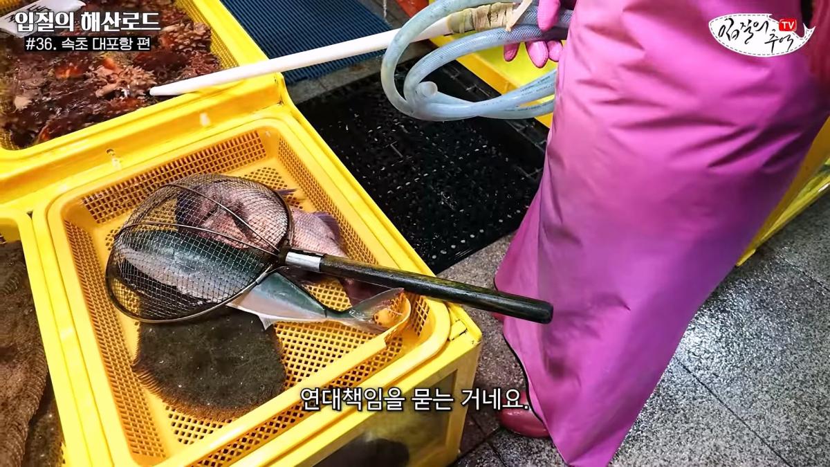 관광지 수산시장에서 _대게 먹고 가라_해서 믿고 맡겼더니(입질의 해산로드 #.36 속초 대포항 편)_20260922_210331.195.jpg