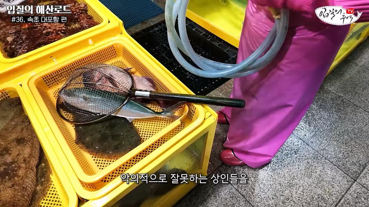 관광지 수산시장에서 _대게 먹고 가라_해서 믿고 맡겼더니(입질의 해산로드 #.36 속초 대포항 편)_20260922_210407.755.jpg