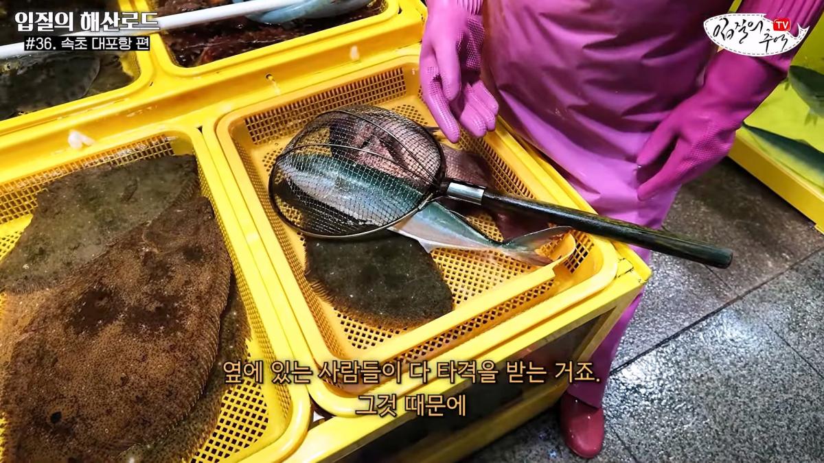 관광지 수산시장에서 _대게 먹고 가라_해서 믿고 맡겼더니(입질의 해산로드 #.36 속초 대포항 편)_20260922_210401.835.jpg