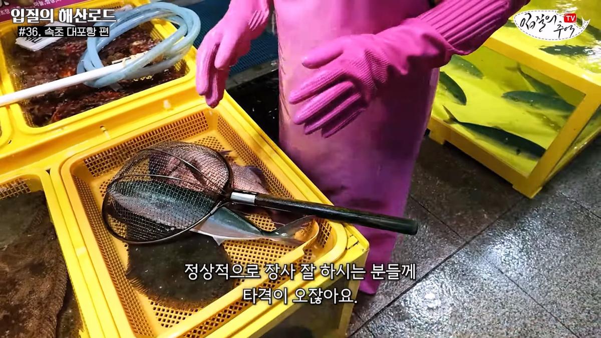 관광지 수산시장에서 _대게 먹고 가라_해서 믿고 맡겼더니(입질의 해산로드 #.36 속초 대포항 편)_20260922_210424.500.jpg