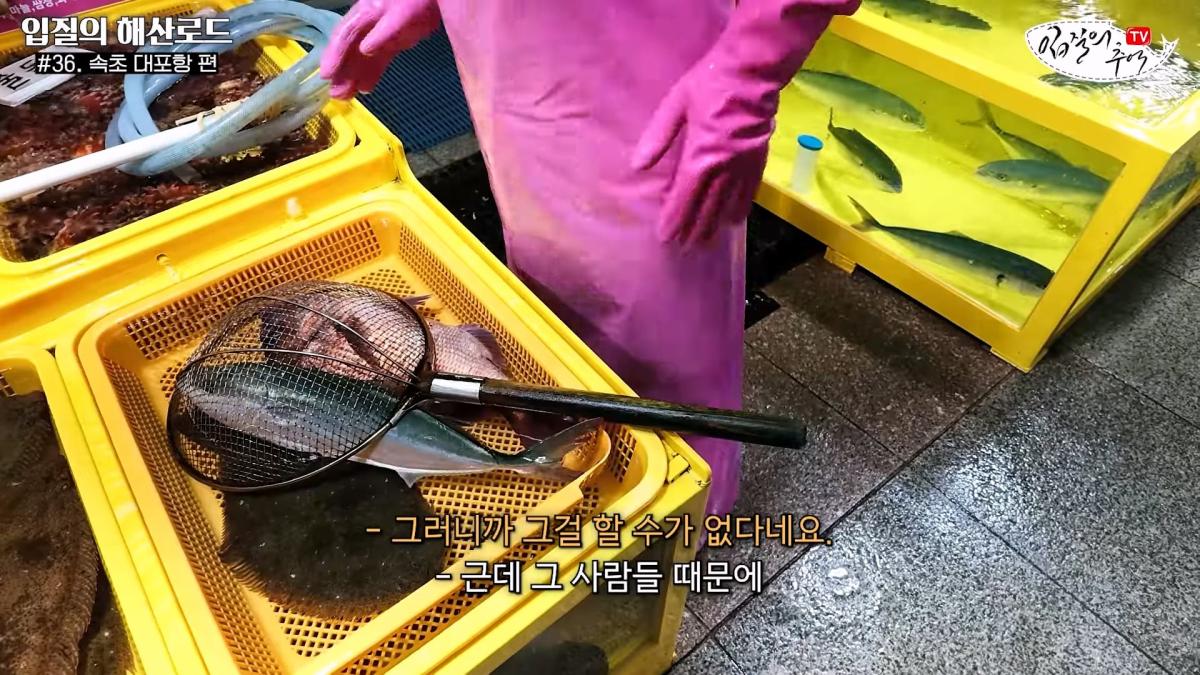 관광지 수산시장에서 _대게 먹고 가라_해서 믿고 맡겼더니(입질의 해산로드 #.36 속초 대포항 편)_20260922_210422.702.jpg