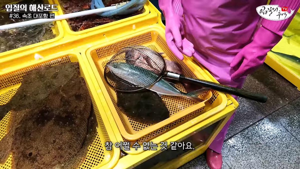관광지 수산시장에서 _대게 먹고 가라_해서 믿고 맡겼더니(입질의 해산로드 #.36 속초 대포항 편)_20260922_210427.787.jpg