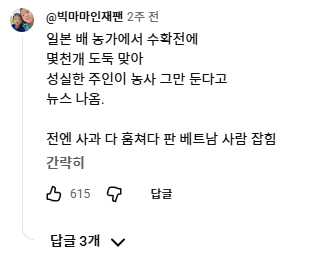 2026-09-22 17;57;48.png 한국서 도둑질 하던 베트남 직원 영상의 댓글