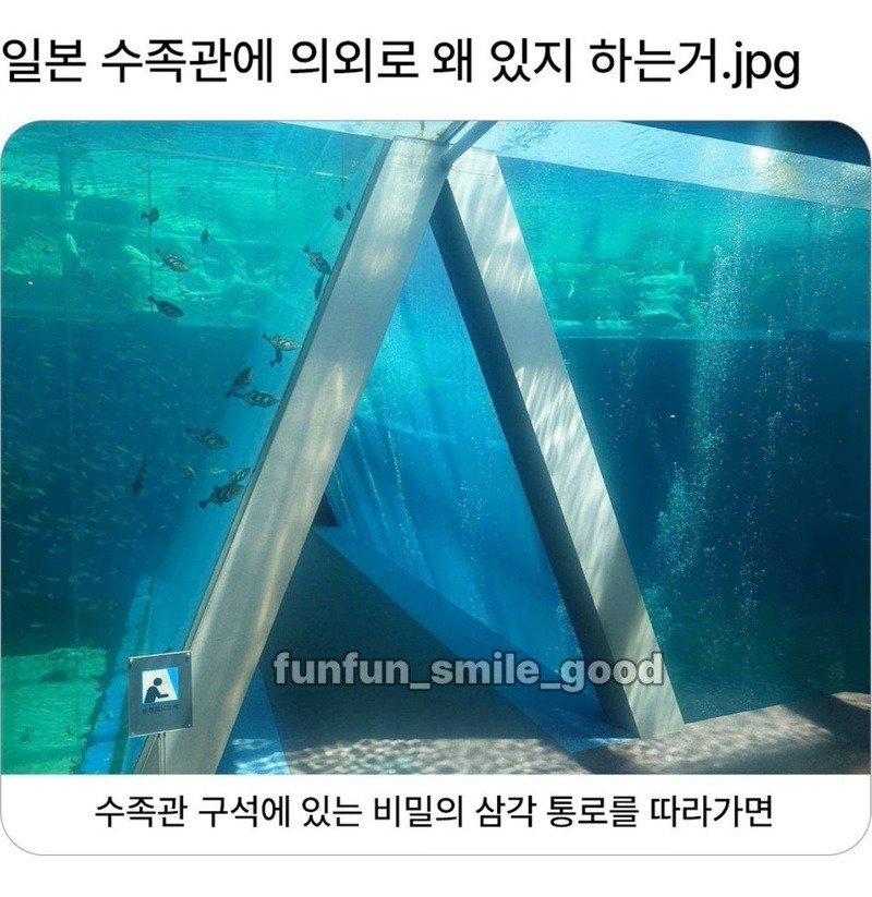 02.jpg
