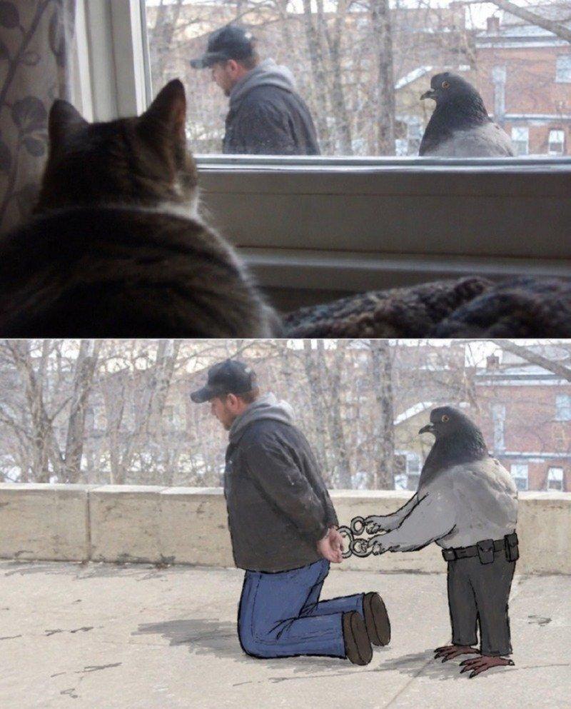 엄청나게 큰 비둘기.jpg
