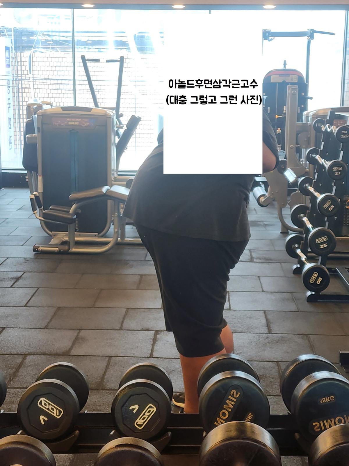 아놀드후면삼각근고수 (오른쪽 헬스장).jpg