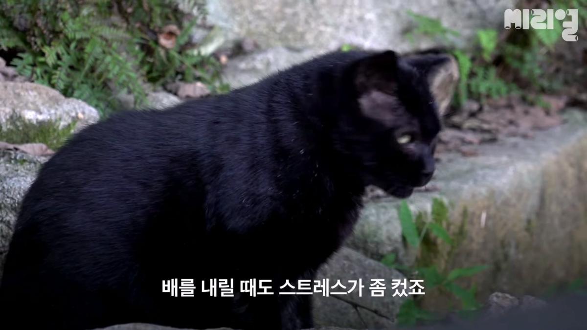 하루 벌어 하루 '행복하게' 사는 것도 방법 _ 이렇게 사는 것도 방법이다 Ep.09_20260926_145743.114.jpg
