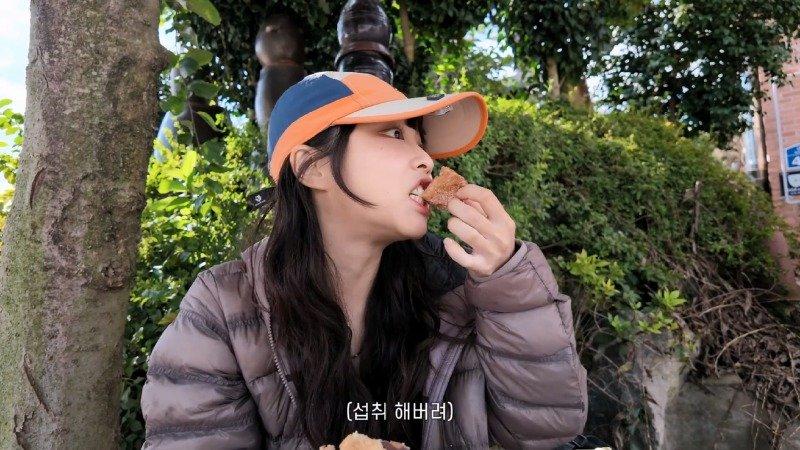 강아지랑 바위 탔습니다 태안 백화산 볼더링_1080p.mp4_20260926_235744.306.jpg