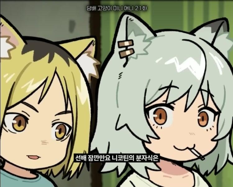 Screenshot_20260927_181351_YouTube.jpg