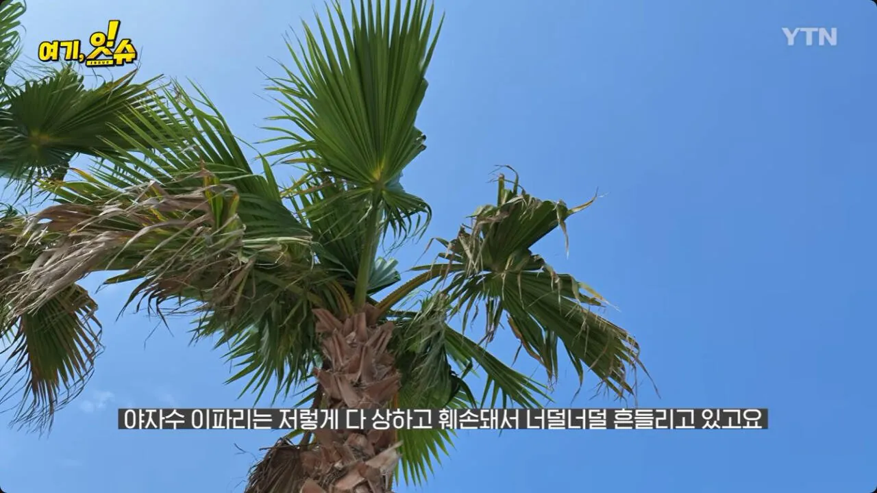 5.jpg 여수 세계 섬 박람회 가 본 YTN 기자 후기