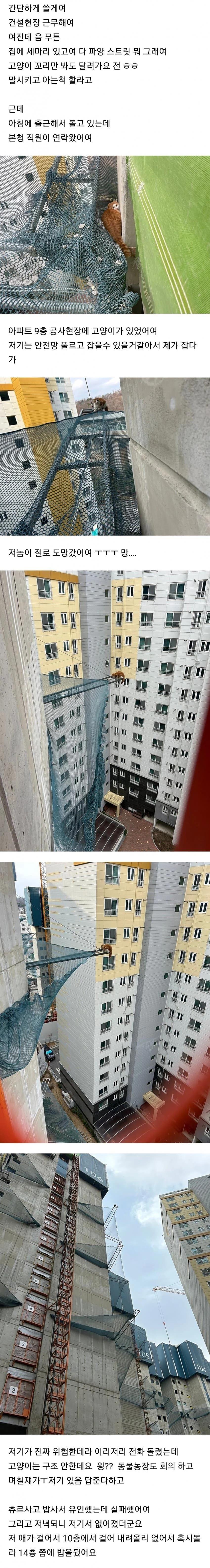 1790576141.webp