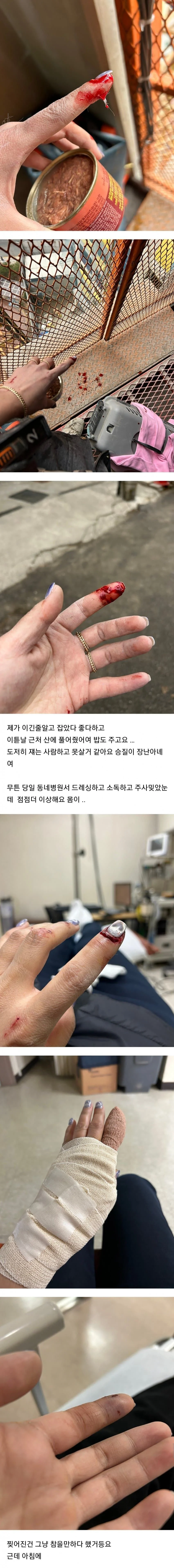 1790576141-1.webp