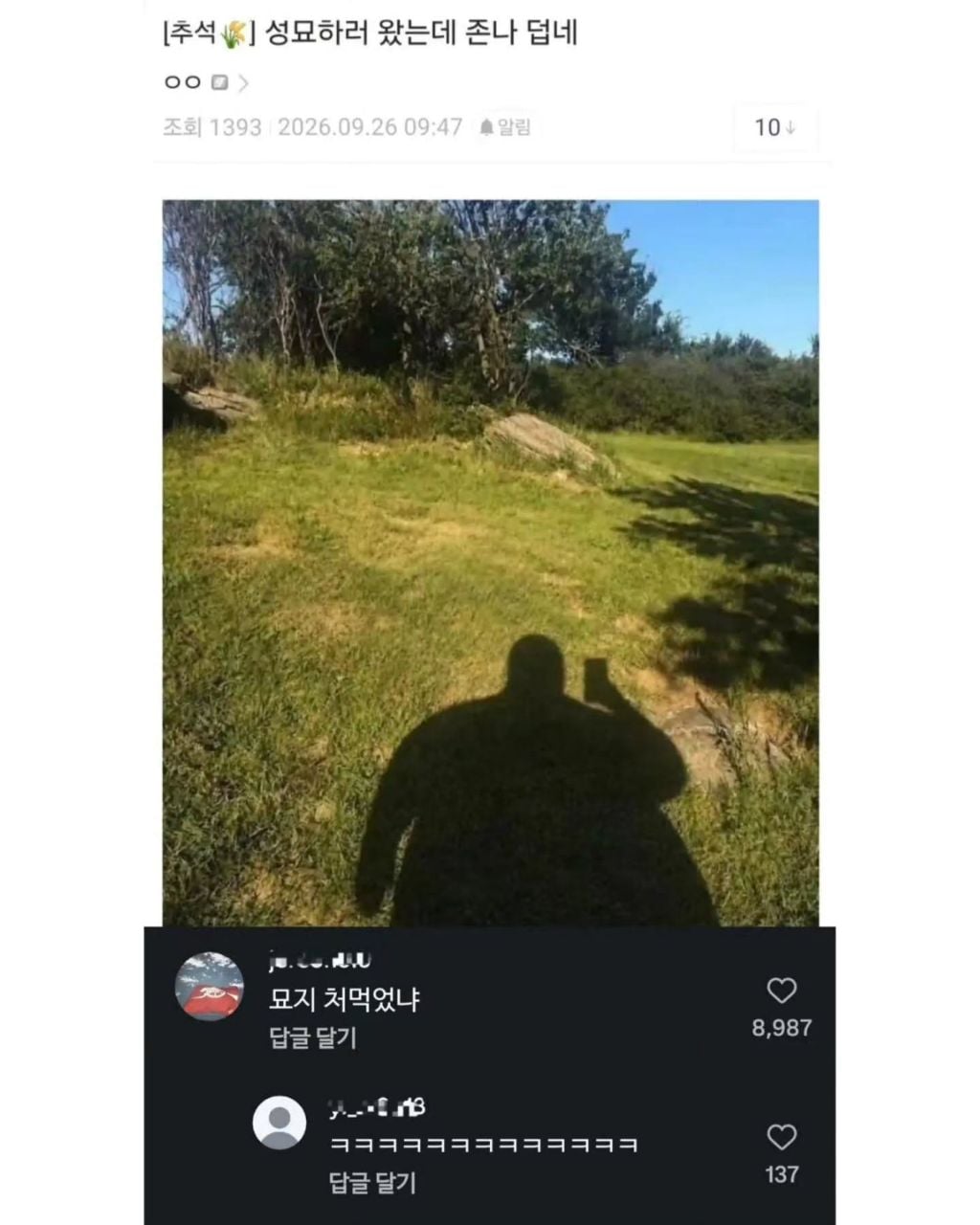 14d508d192d93deda41ceece9487d4e05391de0f.jpeg
