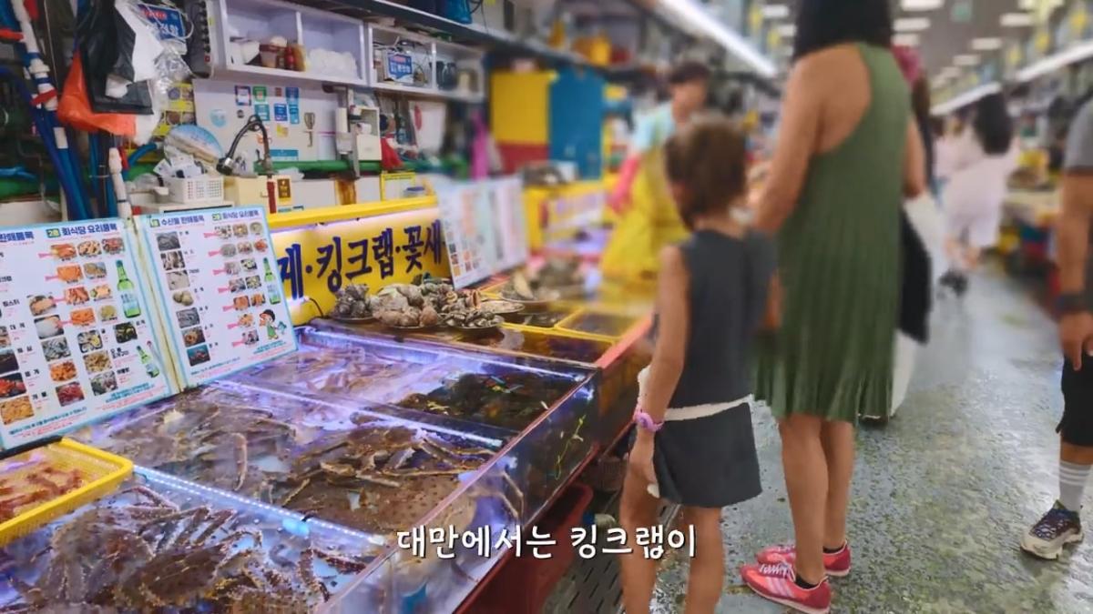 요즘 부산 관광지에서 벌어지고 있는 충격적인 변화.mp4_20260929_094432.264.jpg