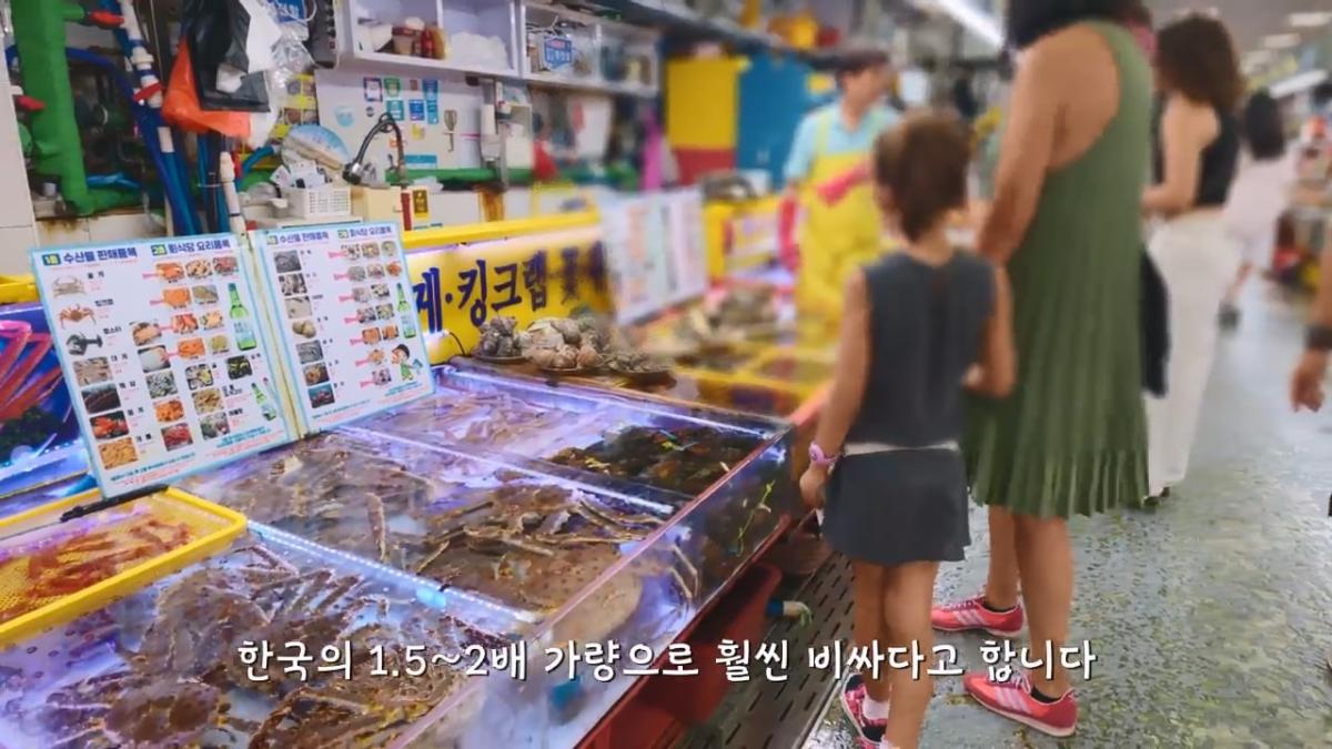 요즘 부산 관광지에서 벌어지고 있는 충격적인 변화.mp4_20260929_094433.998.jpg