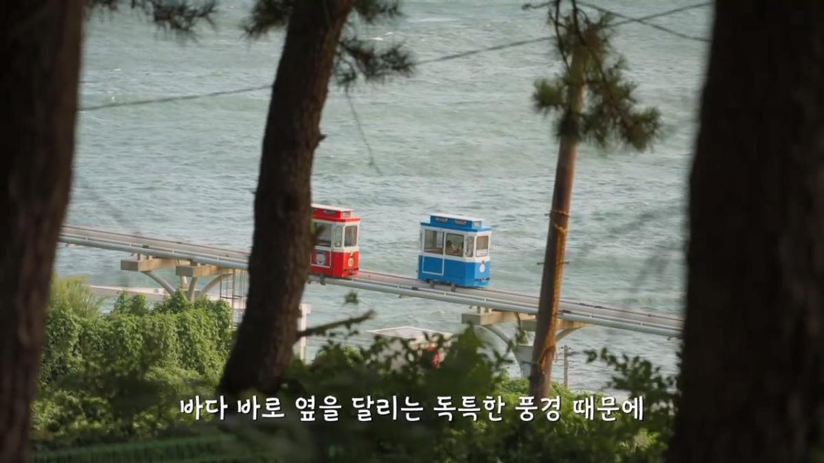요즘 부산 관광지에서 벌어지고 있는 충격적인 변화.mp4_20260929_095255.782.jpg