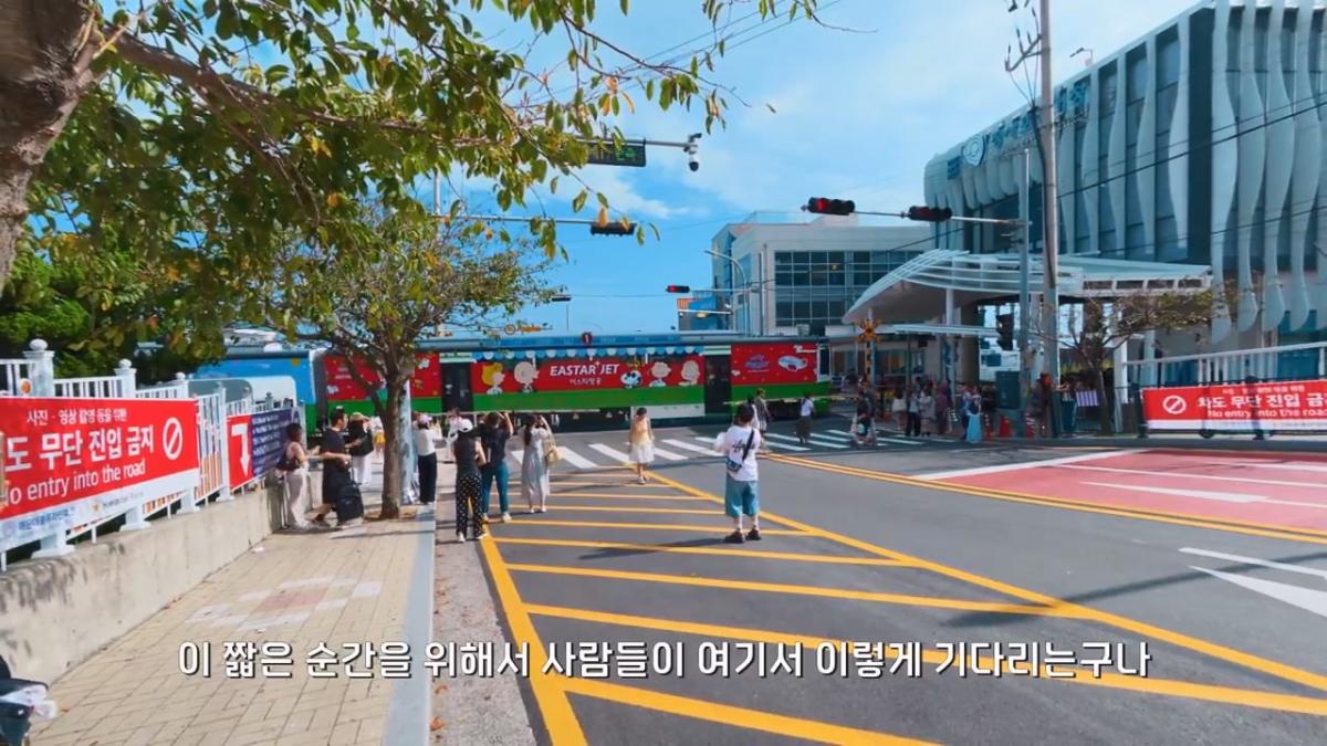 요즘 부산 관광지에서 벌어지고 있는 충격적인 변화.mp4_20260929_095151.646.jpg