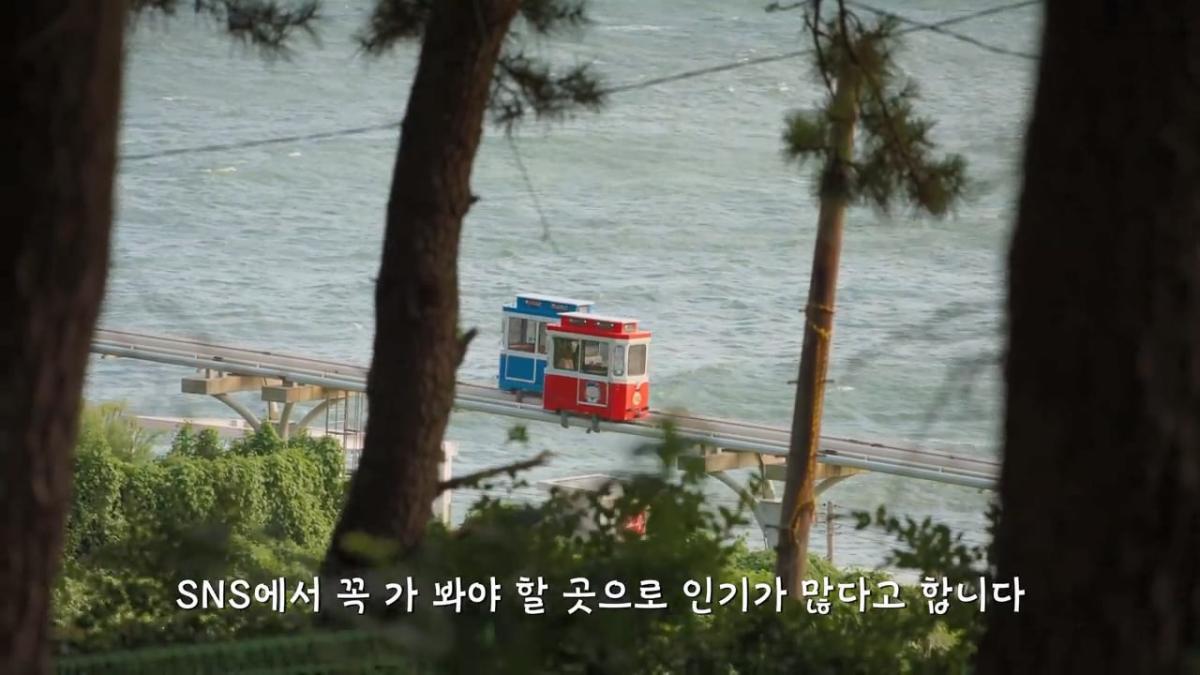 요즘 부산 관광지에서 벌어지고 있는 충격적인 변화.mp4_20260929_095258.894.jpg