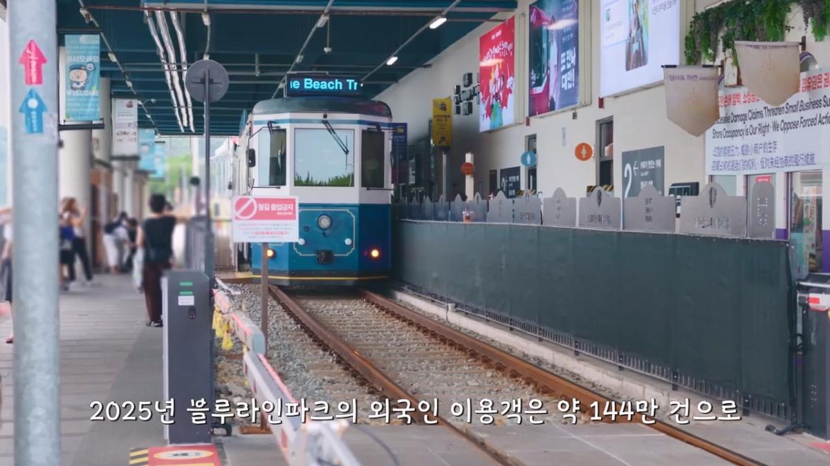 요즘 부산 관광지에서 벌어지고 있는 충격적인 변화.mp4_20260929_095153.734.jpg