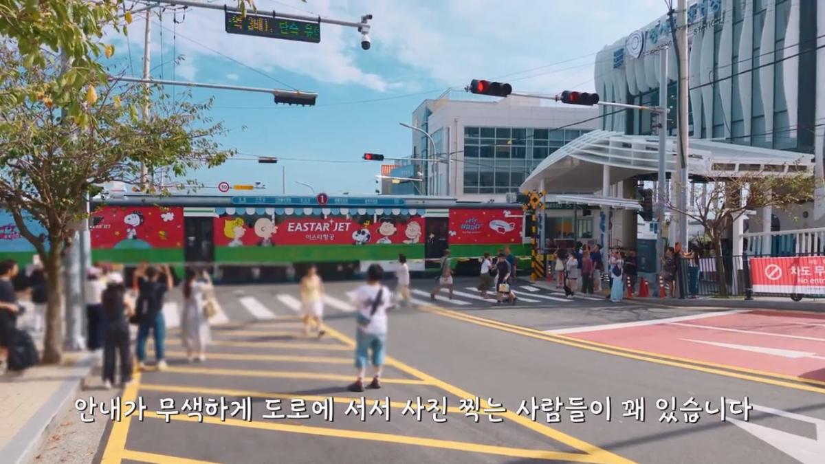 요즘 부산 관광지에서 벌어지고 있는 충격적인 변화.mp4_20260929_095137.413.jpg