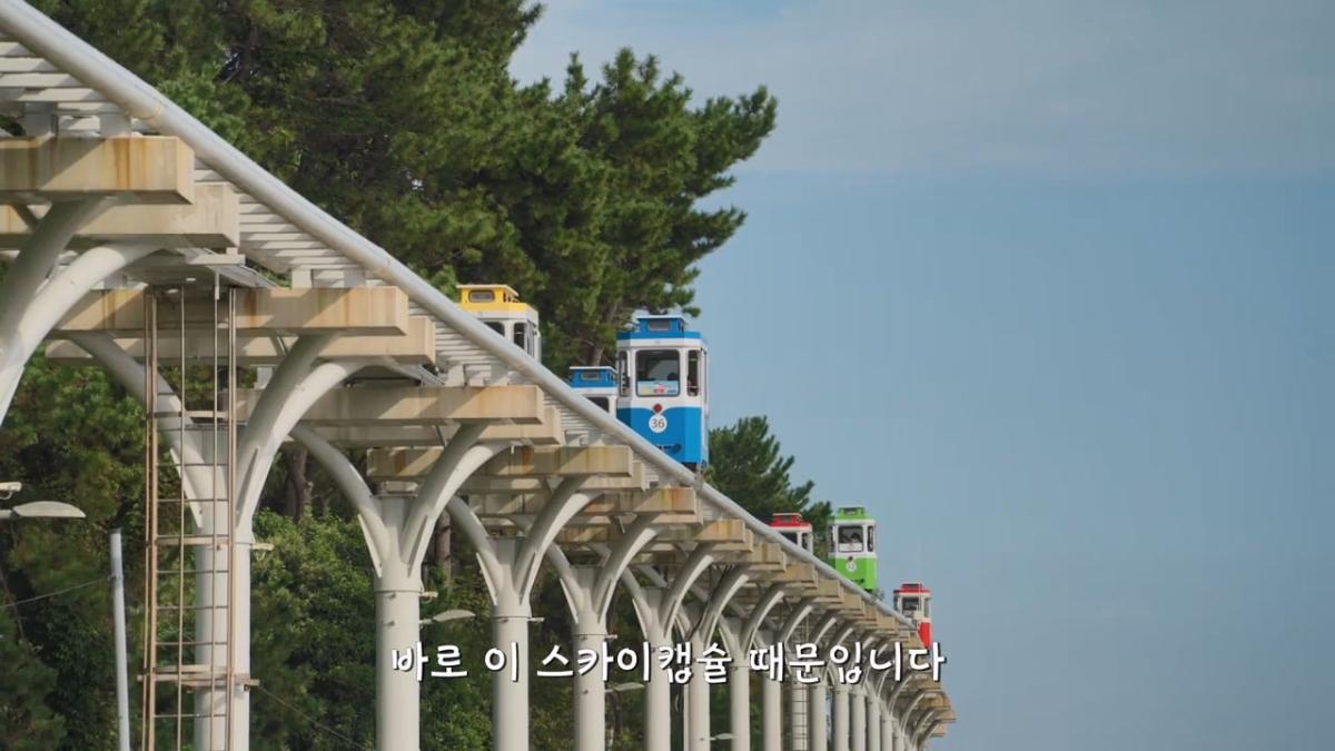요즘 부산 관광지에서 벌어지고 있는 충격적인 변화.mp4_20260929_095249.408.jpg