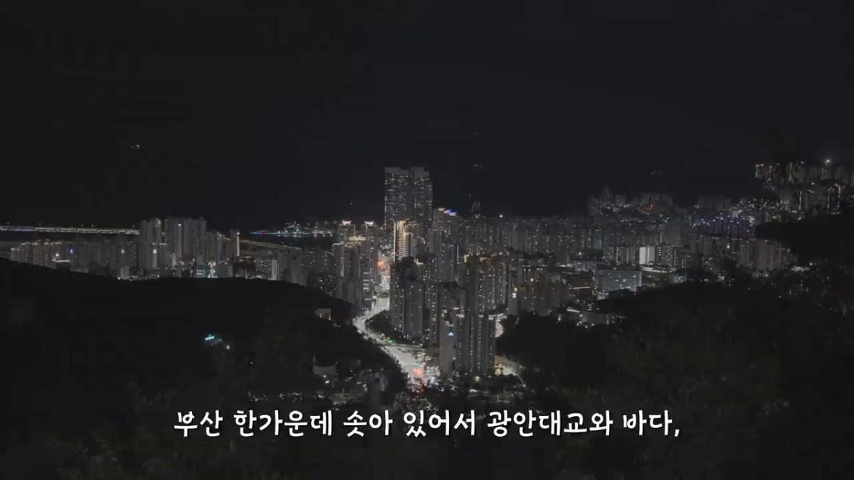 요즘 부산 관광지에서 벌어지고 있는 충격적인 변화.mp4_20260929_100752.675.jpg